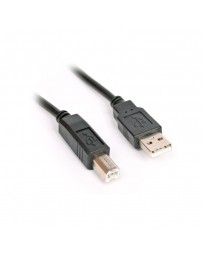 CABLE IMPRIMANTE  3M USB 2.0