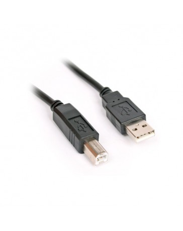 CABLE IMPRIMANTE  3M USB 2.0