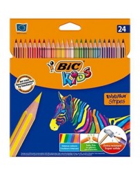 CRAYON COULEUR EVOLUTION STRIPES DE 24