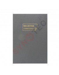 REGISTRE COMPTABLE 100P
