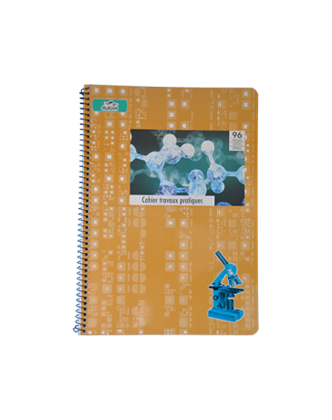 CAHIER TP INTEGRAL GM 10/10 96P ALADIN