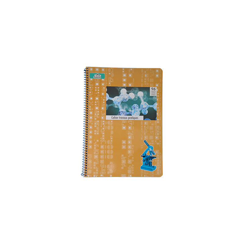 CAHIER TP INTEGRAL GM 10/10 96P ALADIN