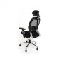 CHAISE DIRECTEUR NEW CONFORT + BASE CHROME