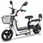 SCOOTER ELECTRIQUE WATTGO WG002  BLANC 350W