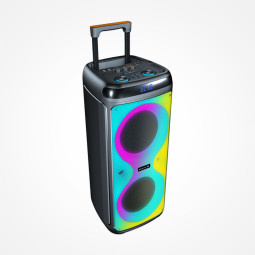 HAUT PARLEUR SANS FIL 8"ICONIX BETA 08  800W AVE MICRO