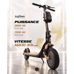 TROTTINETTE ÉLECTRIQUE ECO-XTREM LINEAR 350 W