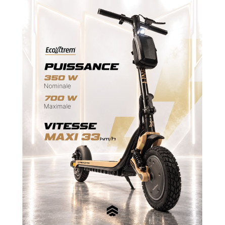 TROTTINETTE ÉLECTRIQUE ECO-XTREM LINEAR 350 W