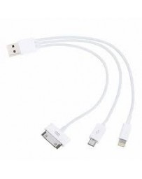 Cable USB 4-en-1 pour Apple