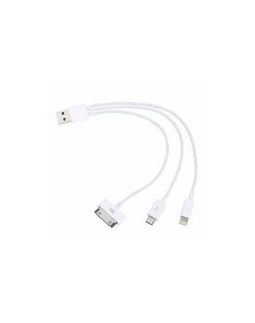 Cable USB 4-en-1 pour Apple