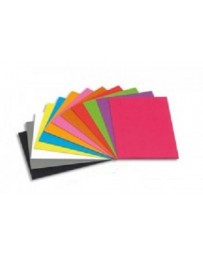 CHEMISE BRISTOL COULEURS VIVES P10 24X32 160G