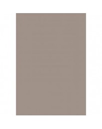 RAM PAPIER COLOR PLUS 80G A4 GRIS 212954