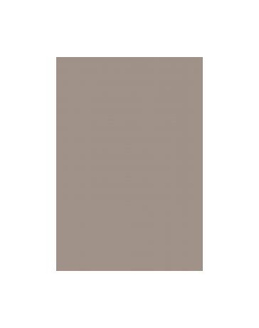 RAM PAPIER COLOR PLUS 80G A4 GRIS 212954