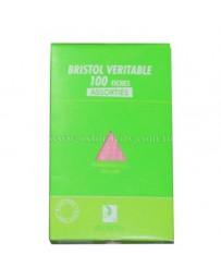 FICHE BRISTOL ASSORTIES 210X297 SELECTA 100PCS