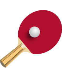 RAQUETTE PING PONG LISHENG 0571