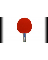 RAQUETTE PING PONG LISHENG 0571