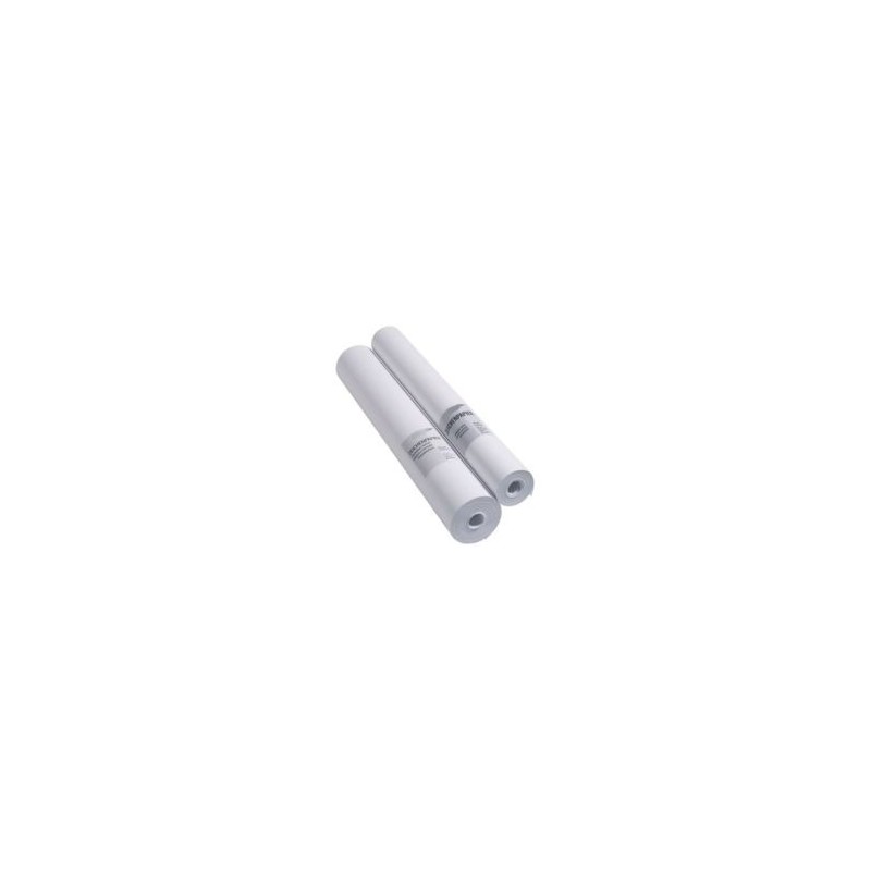 ROULEAU  PAPIER TRACEUR EVOLUTION 80GR 61X50CM