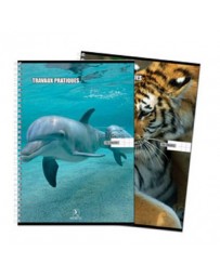 CAHIER TP GRAND MODEL 10/10 SELECTA