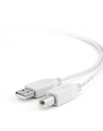 CABLE POUR IMPRIMANTE 5M 345408 INTELLINET