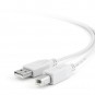 CABLE POUR IMPRIMANTE 5M 345408 INTELLINET